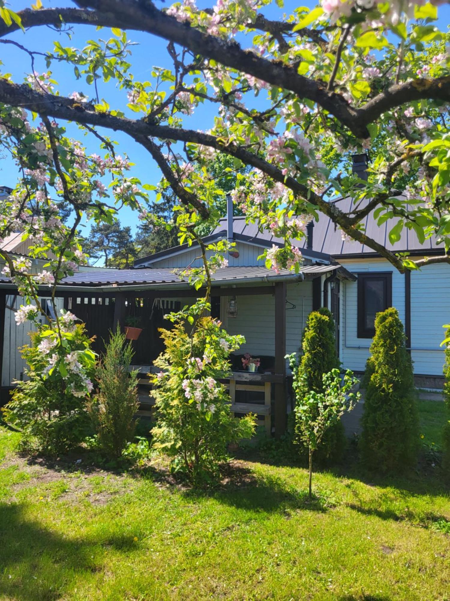 Guest House Sunny Jūrkalne Esterno foto